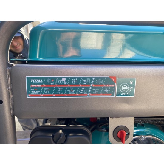 Բենզինային գեներատոր ինվենտորային Total TP3120006