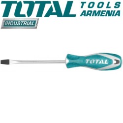 Պտուտակահան ՝ հարթ ( տափակ ) SL 4 x 100 մմ 