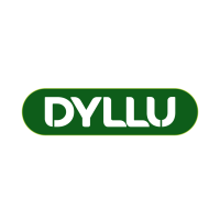Dyllu