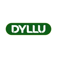 Dyllu