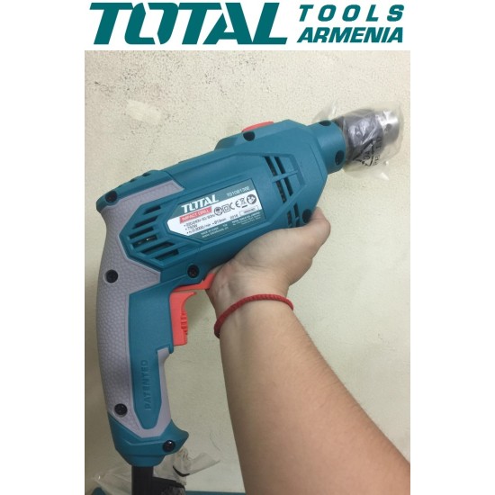 Electric Impact Drill /  750 W / 0–3000 rpm / 13 mm / 48000 bpm