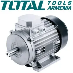 Շարժիչ (TS9204051 Էլեկտրական Սղոցի համար)