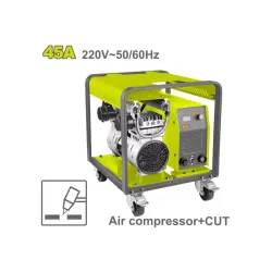 Ինվերտորային կտրիչ պլազմայով 15-45Ա DYLLU DTCUT452