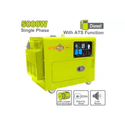 Դիզելային գեներատոր անաղմուկ 5.0կՎտ DYLLU DTDG2A50-1