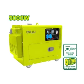 Անաղմուկ դիզելային գեներատոր DYLLU DTDG2A50 5000Վտ