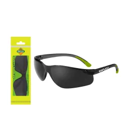 Պաշտպանիչ ակնոց DYLLU DTSG3808 PC