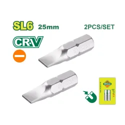 Պտուտակադարձիչի բիթեր (2 հատ) DYLLU DTSV1K24 25մմ