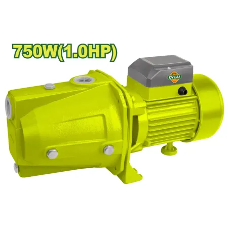 Ջրի պոմպ DYLLU DTWPJA03 750Վտ