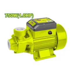 Ջրի պոմպ DYLLU DTWPVA03 750Վտ